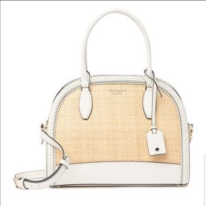 Kate Spade Reiley Straw Large Dome Womens Satchel